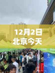 北京今日招聘热点聚焦,行业热点与人才需求解析(12月2日)