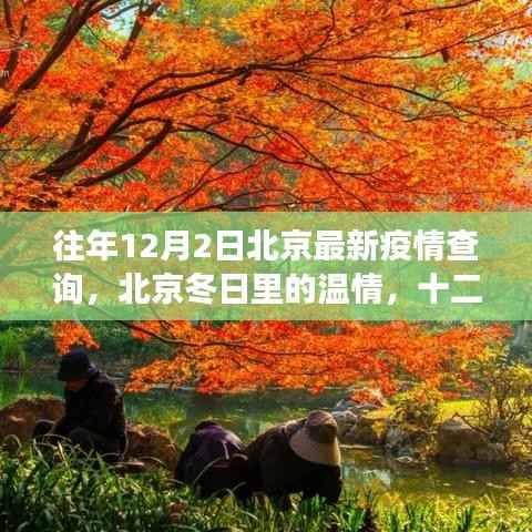 北京疫情下的温情日常,十二月二日下的故事与日常查询