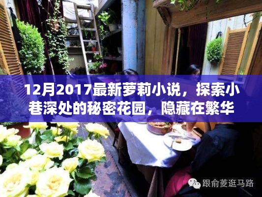 探索繁华中的秘密花园,最新萝莉小说特色小店揭秘