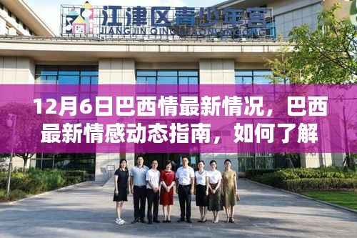 12月6日巴西情感最新动态,体验巴西情感文化与指南