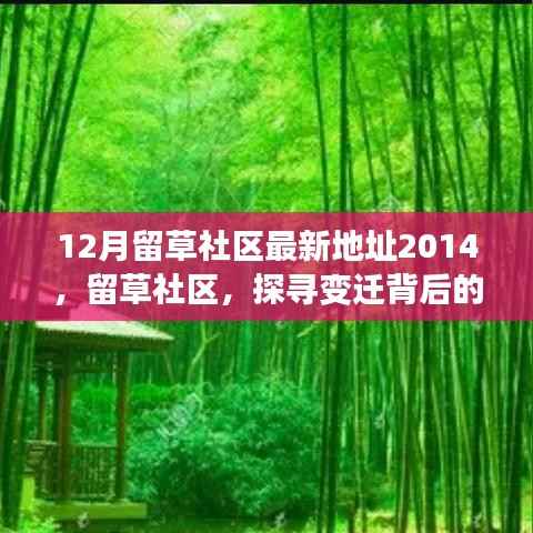 12月留草社区最新地址2014,留草社区,探寻变迁背后的真相与意义