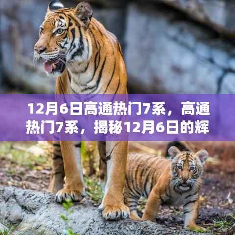 揭秘高通热门7系,揭秘12月6日的辉煌与影响展望