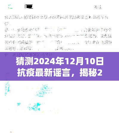 揭秘未来抗疫谣言,探寻真相背后的迷雾与曙光(预测至2024年12月)