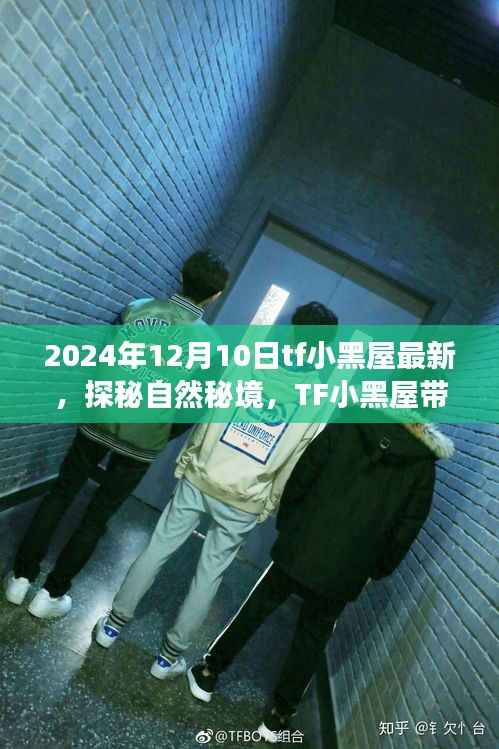 探秘自然秘境,TF小黑屋带你领略宁静之旅(最新更新,2024年12月10日)