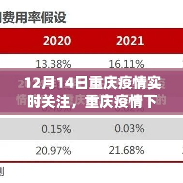重庆疫情下的观察与思考,聚焦实时动态,解读疫情进展