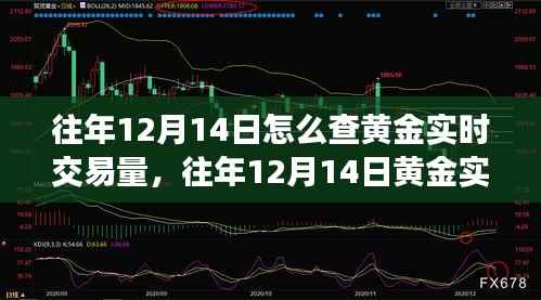 往年12月14日黄金实时交易量查询攻略,全面评测与深度介绍
