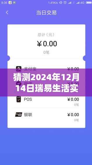 瑞易生活实时到账操作指南,初学者与进阶用户步骤详解,预测2024年12月14日最新操作技巧