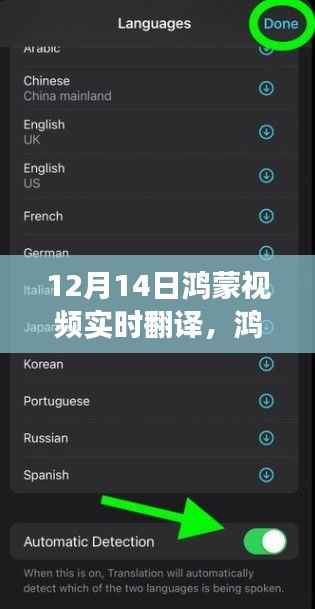 鸿蒙视频实时翻译技术,开启全球无障碍视频交流新时代