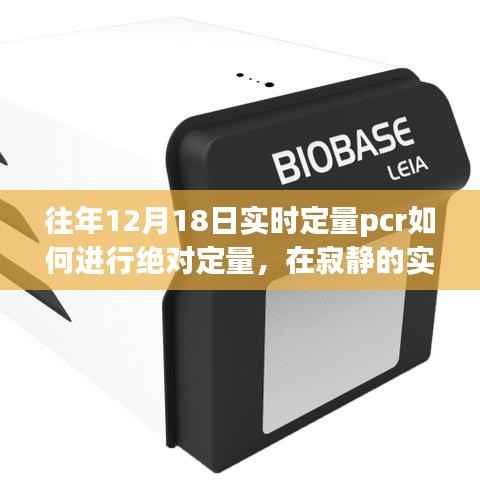 揭秘绝对定量PCR的双重魅力,实验室探寻自然之美与心灵之旅的交融探索
