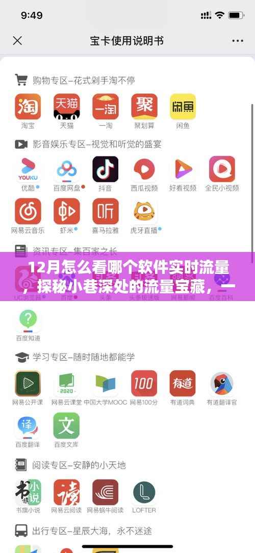 揭秘特色小店实时流量秘籍,探秘小巷深处的流量宝藏与软件实时流量监测指南
