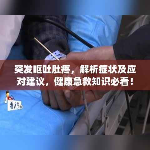 突发呕吐肚疼,解析症状及应对建议,健康急救知识必看!