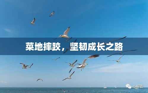 菜地摔跤,坚韧成长之路