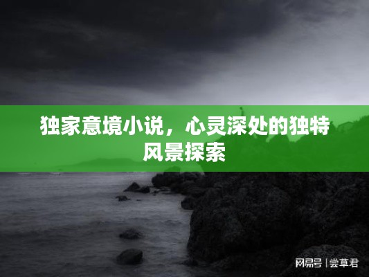 独家意境小说,心灵深处的独特风景探索