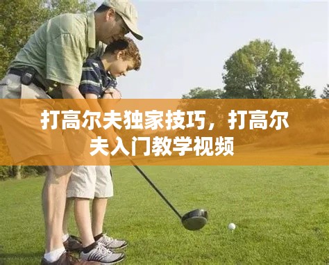 打高尔夫独家技巧,打高尔夫入门教学视频