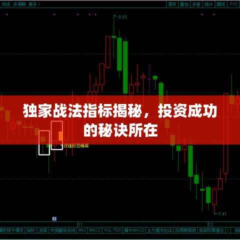 独家战法指标揭秘,投资成功的秘诀所在