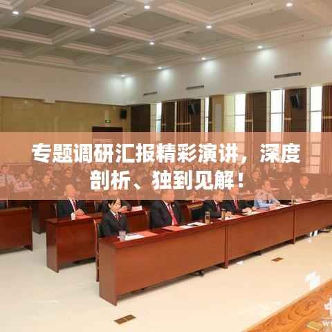 专题调研汇报精彩演讲,深度剖析、独到见解!