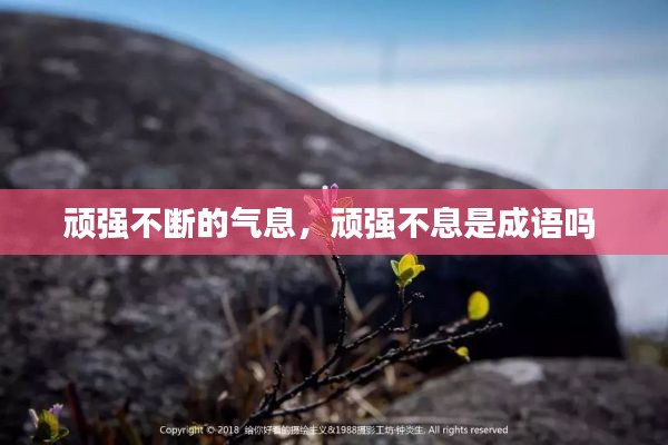 顽强不断的气息,顽强不息是成语吗