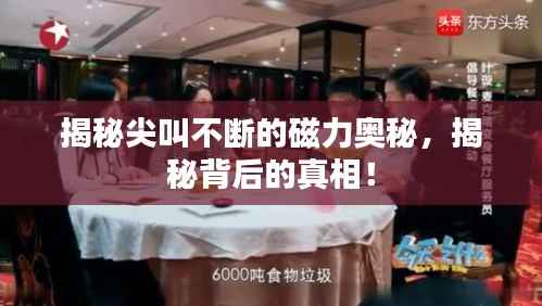 揭秘尖叫不断的磁力奥秘,揭秘背后的真相!