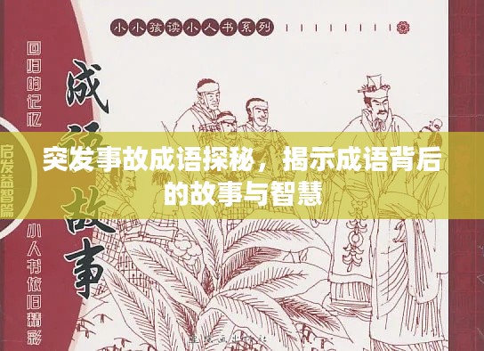 突发事故成语探秘,揭示成语背后的故事与智慧