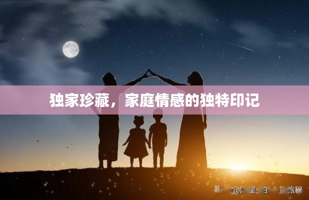 独家珍藏,家庭情感的独特印记