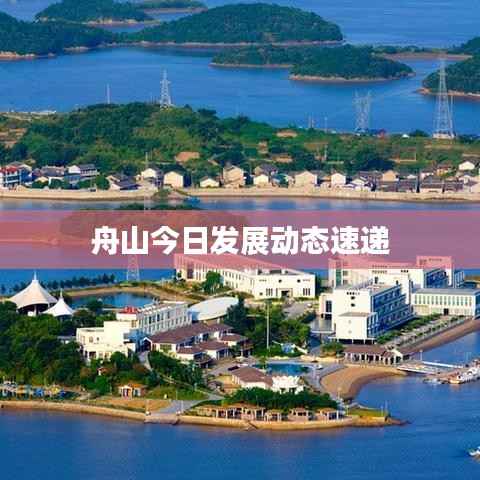 舟山今日发展动态速递