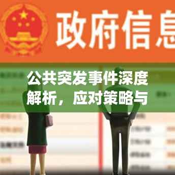 公共突发事件深度解析,应对策略与影响探讨