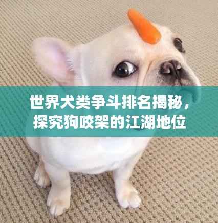 世界犬类争斗排名揭秘,探究狗咬架的江湖地位