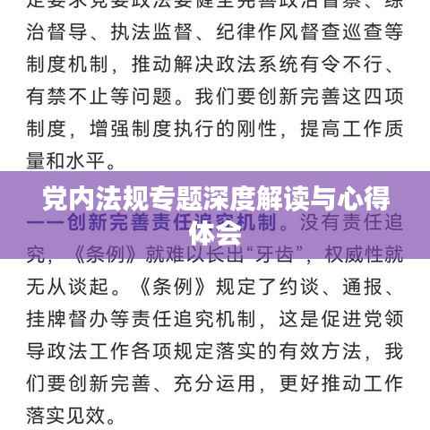 党内法规专题深度解读与心得体会