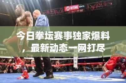 今日拳坛赛事独家爆料,最新动态一网打尽