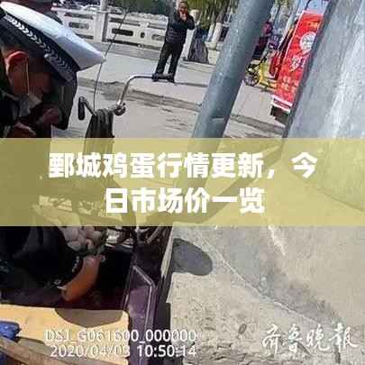 鄄城鸡蛋行情更新,今日市场价一览
