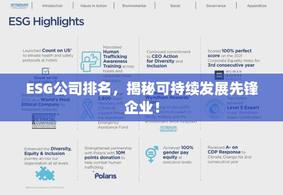 ESG公司排名,揭秘可持续发展先锋企业!