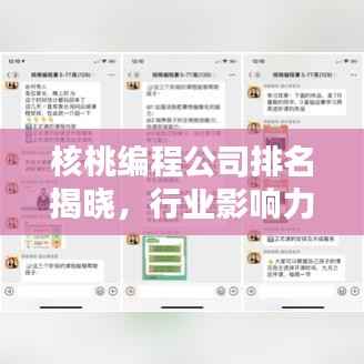 核桃编程公司排名揭晓,行业影响力不容小觑