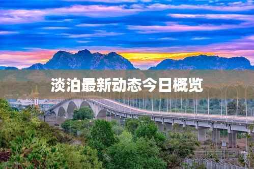 淡泊最新动态今日概览