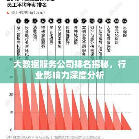 大数据服务公司排名揭秘,行业影响力深度分析