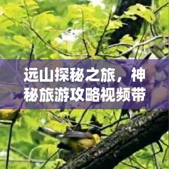 远山探秘之旅,神秘旅游攻略视频带你畅游未知境地