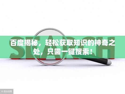 百度揭秘,轻松获取知识的神奇之处,只需一键搜索!