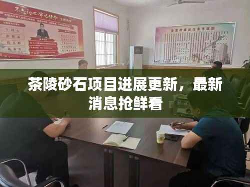 茶陵砂石项目进展更新,最新消息抢鲜看