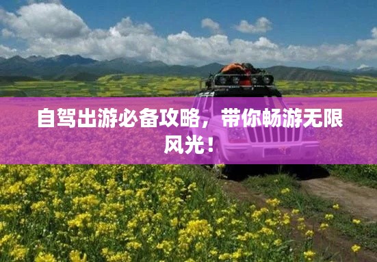 自驾出游必备攻略,带你畅游无限风光!