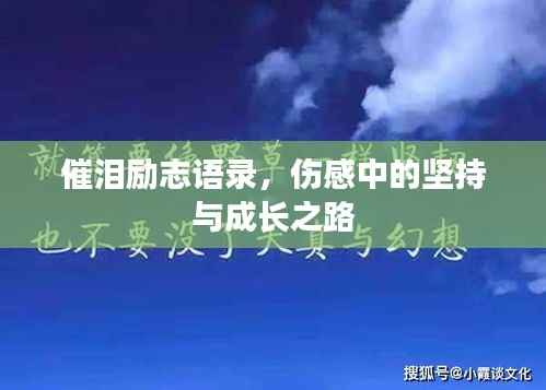催泪励志语录,伤感中的坚持与成长之路