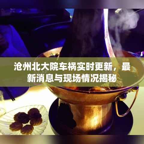 沧州北大院车祸实时更新,最新消息与现场情况揭秘