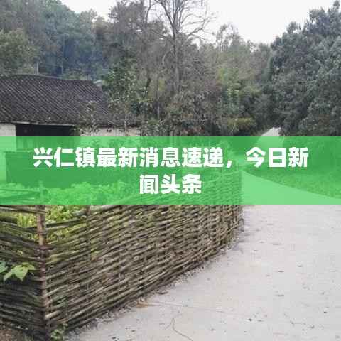 兴仁镇最新消息速递,今日新闻头条