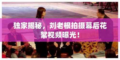 独家揭秘,刘老根拍摄幕后花絮视频曝光!