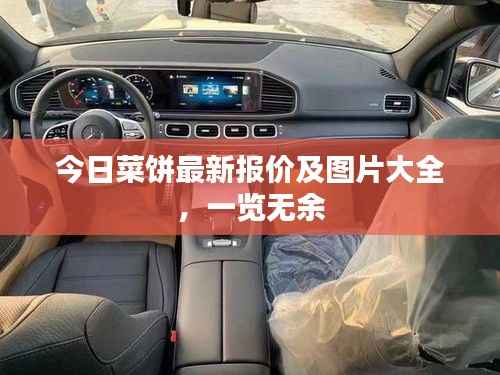 今日菜饼最新报价及图片大全,一览无余