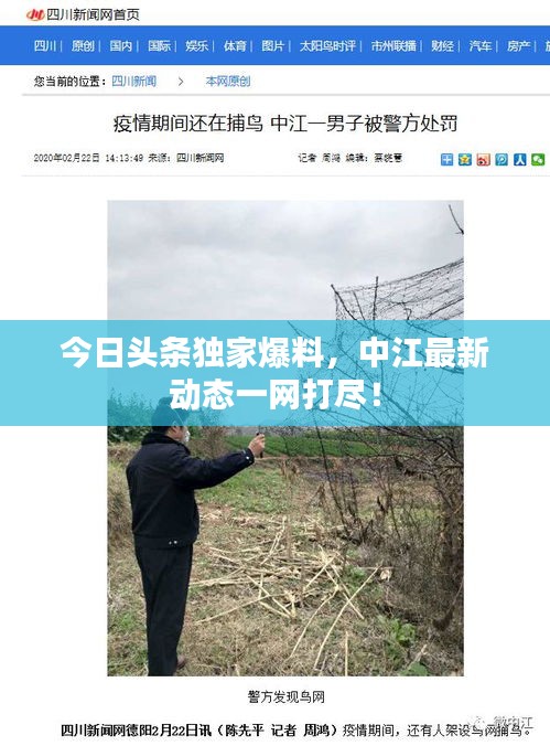 今日头条独家爆料,中江最新动态一网打尽!