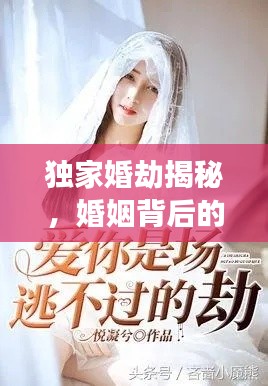 独家婚劫揭秘,婚姻背后的秘密纷争与纷争txt下载