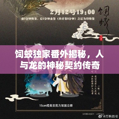饲蛟独家番外揭秘,人与龙的神秘契约传奇