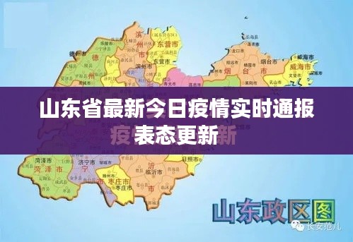 山东省最新今日疫情实时通报表态更新