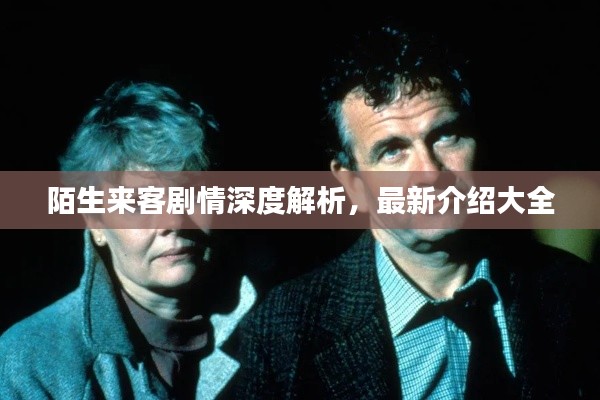 陌生来客剧情深度解析，最新介绍大全