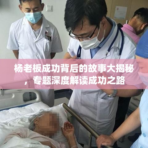杨老板成功背后的故事大揭秘,专题深度解读成功之路