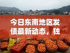 今日东南地区发债最新动态,独家新闻报道一网打尽!